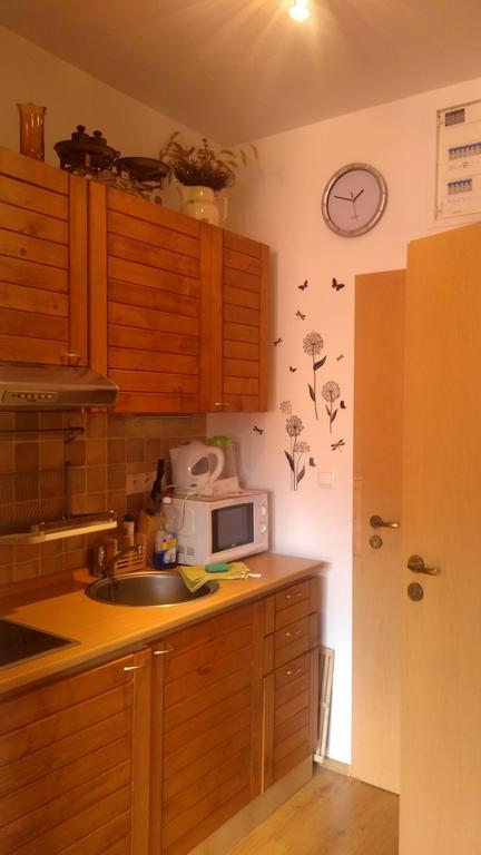 Fatrapark 1 U Sovicky Studio, Kuchynka, Kupelna,S Balkonom Gratis Parkovanie V Podzemnej Garazi Ruzomberok Buitenkant foto