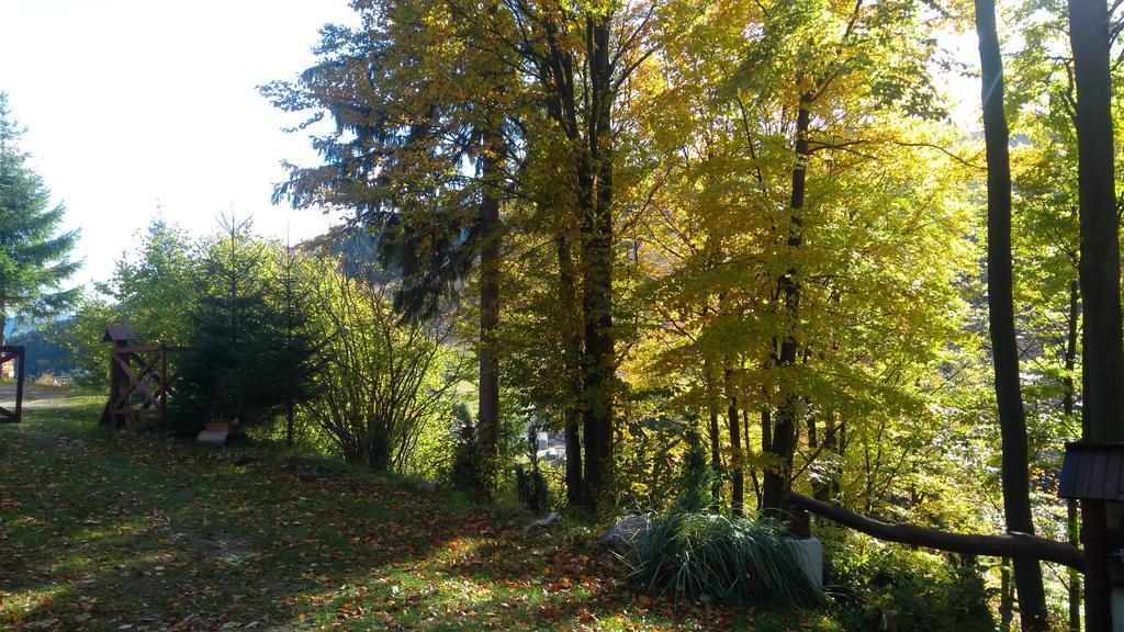 Fatrapark 1 U Sovicky Studio, Kuchynka, Kupelna,S Balkonom Gratis Parkovanie V Podzemnej Garazi Ruzomberok Buitenkant foto