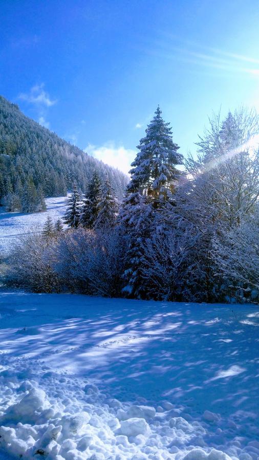 Fatrapark 1 U Sovicky Studio, Kuchynka, Kupelna,S Balkonom Gratis Parkovanie V Podzemnej Garazi Ruzomberok Buitenkant foto